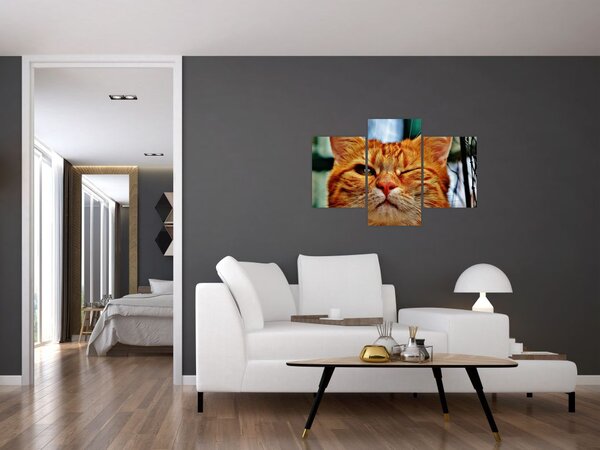 Egy pislogó macska képe (90x60 cm)