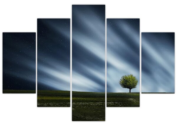 Az aurora borealis képe egy lápvidéken (150x105 cm)