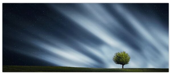 Az aurora borealis képe egy lápvidéken (120x50 cm)