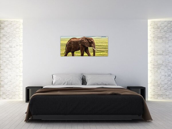 Egy elefánt képe (120x50 cm)