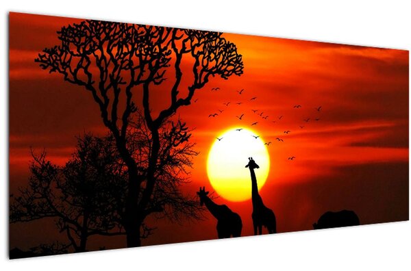 Kép - Állatok sziluettjei napnyugtakor (120x50 cm)