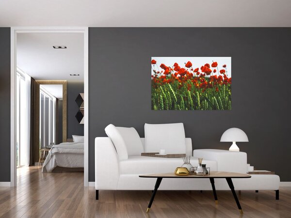 A pipacsok képe a szélben (90x60 cm)