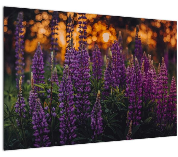 Egy csillagfürt virág képe (90x60 cm)