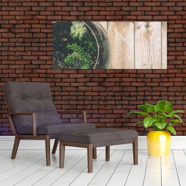 A pozsgás növények képe üvegben (120x50 cm)