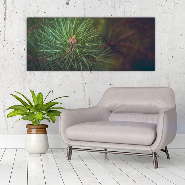 Kép - Fenyőfa részlete (120x50 cm)