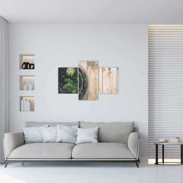 A pozsgás növények képe üvegben (90x60 cm)