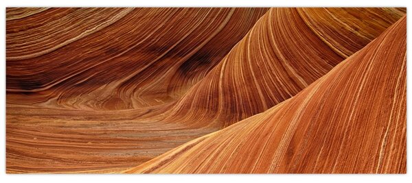 Kép - Vörös homok (120x50 cm)