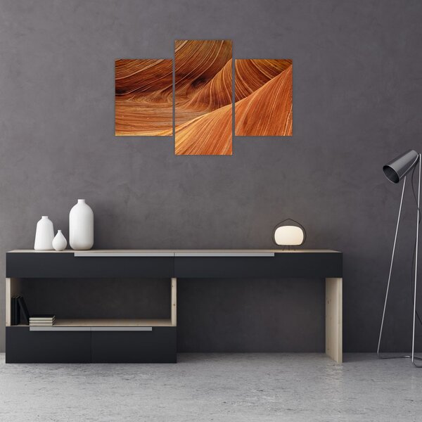 Kép - Vörös homok (90x60 cm)