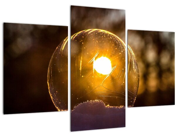 Kép - Átlátszó buborék (90x60 cm)