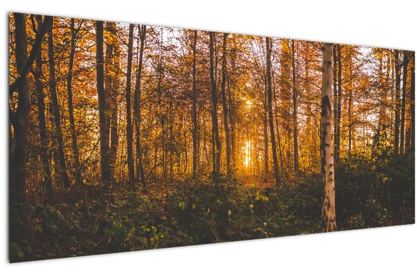 Egy őszi erdő képe (120x50 cm)