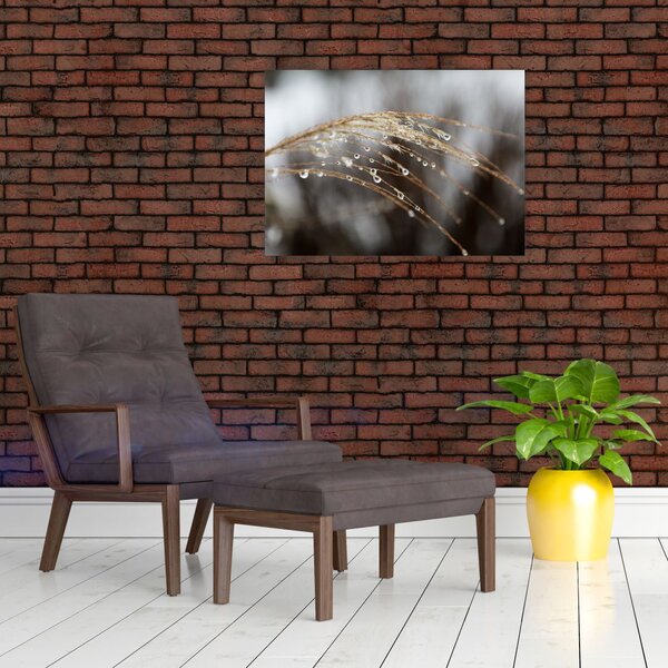 Cseppkép egy növényen (70x50 cm)