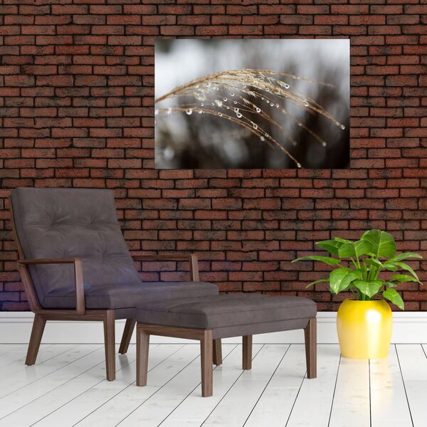 Cseppkép egy növényen (90x60 cm)