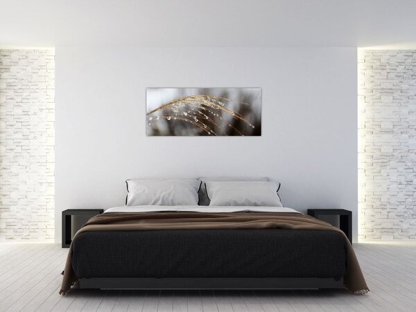 Cseppkép egy növényen (120x50 cm)