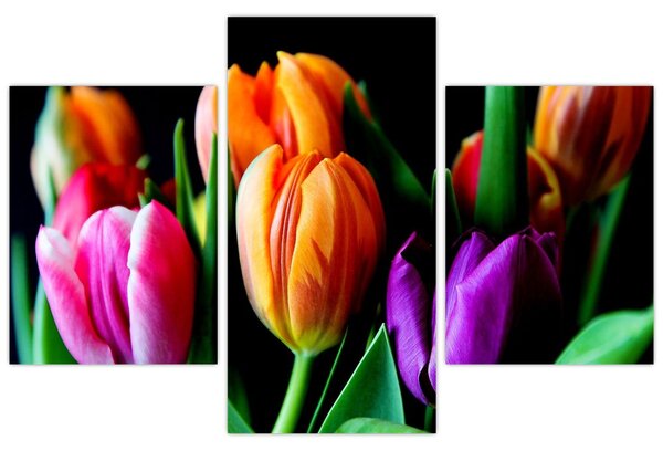 Tulipánok képe fekete alapon (90x60 cm)