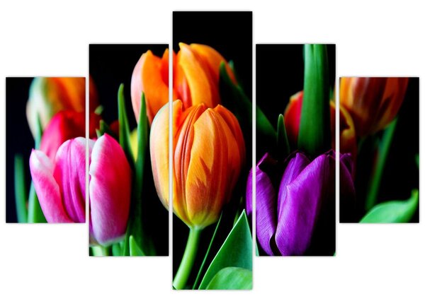 Tulipánok képe fekete alapon (150x105 cm)