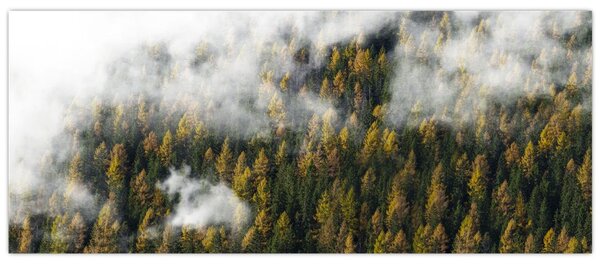 Egy erdő képe a felhők között (120x50 cm)