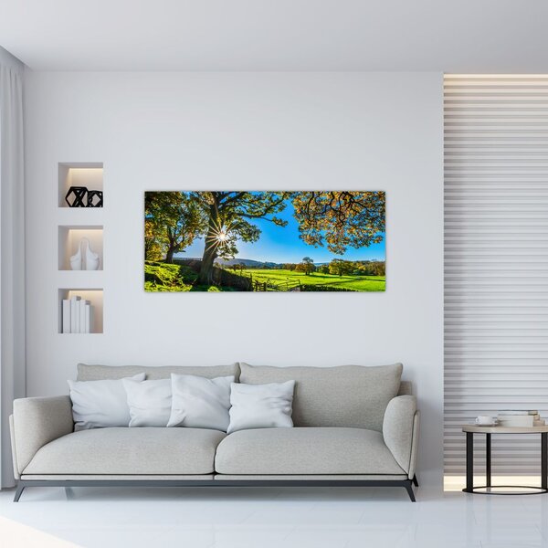 Kép - mező, kilátás (120x50 cm)