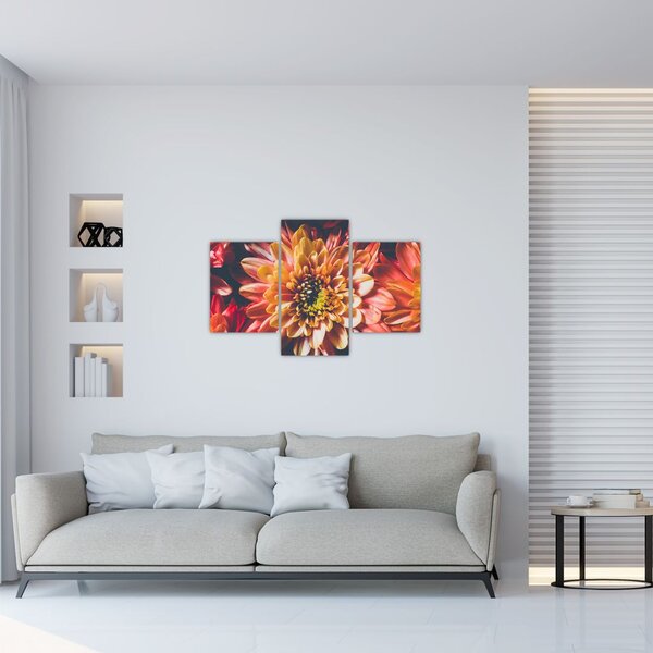 Kép - Krizantém (90x60 cm)