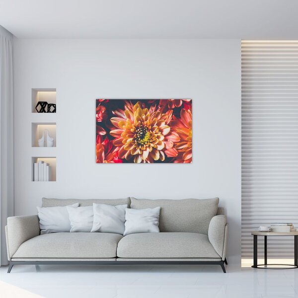 Kép - Krizantém (90x60 cm)