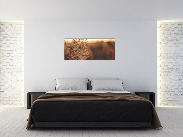 Virágzó fű képe (120x50 cm)