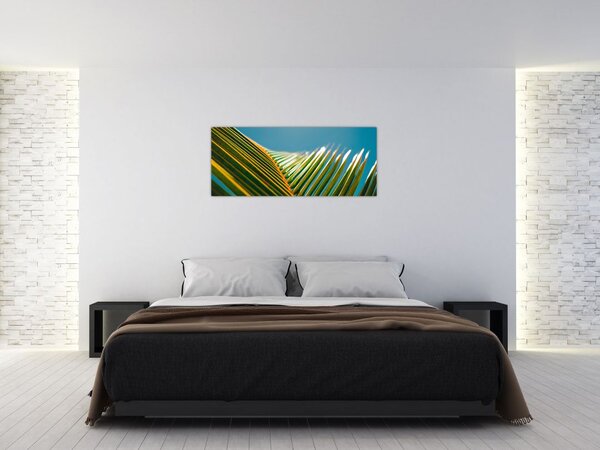 Kép - A pálmalevél részlete (120x50 cm)