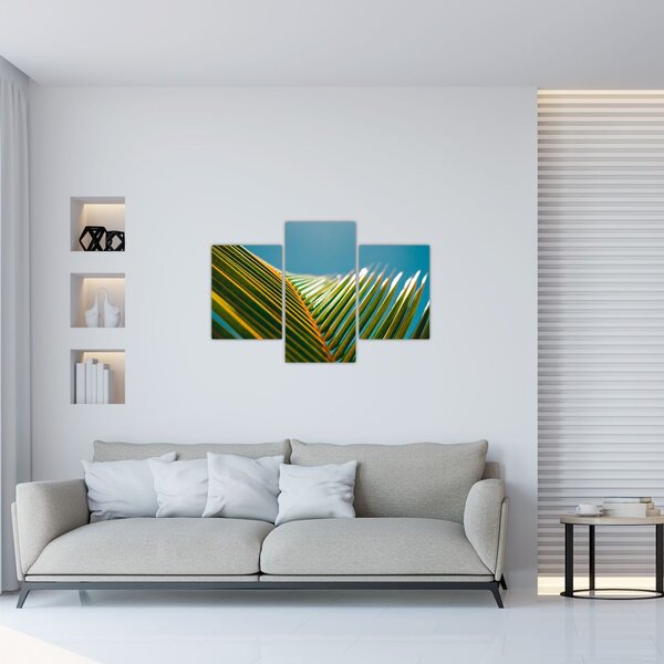 Kép - A pálmalevél részlete (90x60 cm)
