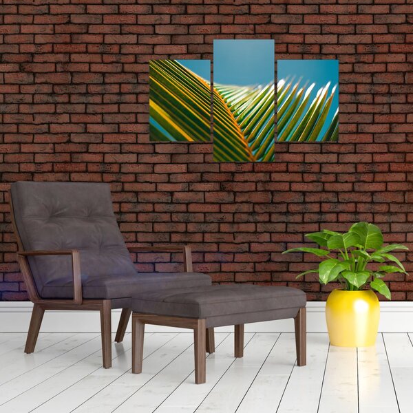 Kép - A pálmalevél részlete (90x60 cm)