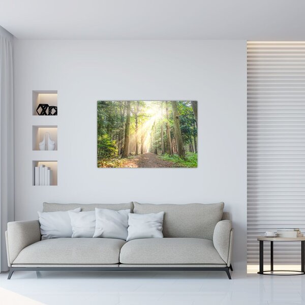 Egy ösvény képe az erdőben (90x60 cm)