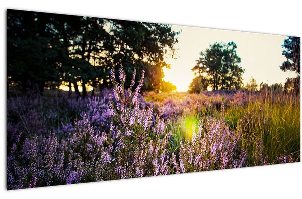 Egy levendulamező képe (120x50 cm)