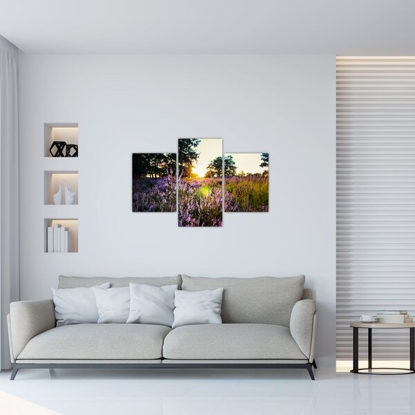 Egy levendulamező képe (90x60 cm)