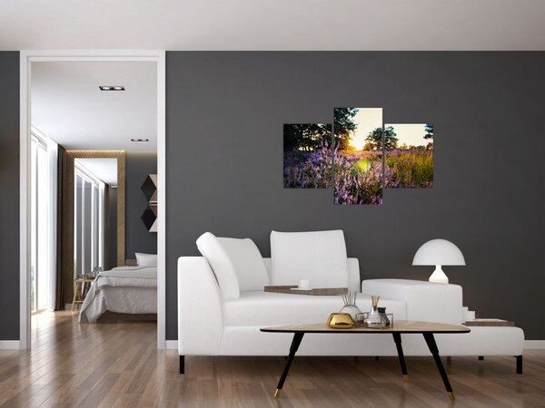 Egy levendulamező képe (90x60 cm)
