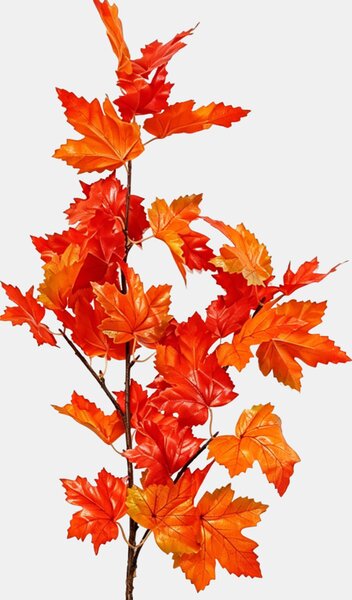 Sinsay - Dísznövény – juhar ág - többszínű