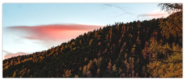Kép a domb fölött (120x50 cm)