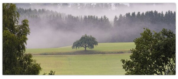 Egy kép a rétről egy fával (120x50 cm)