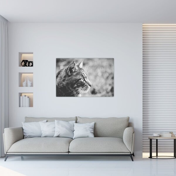 Kép - Macska (90x60 cm)