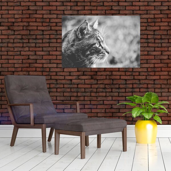 Kép - Macska (90x60 cm)