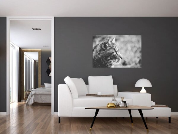 Kép - Macska (90x60 cm)