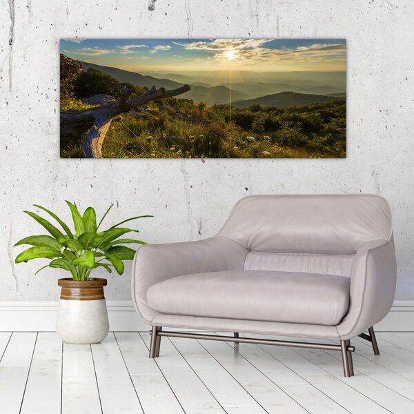 Kép - kilátás a tájra (120x50 cm)