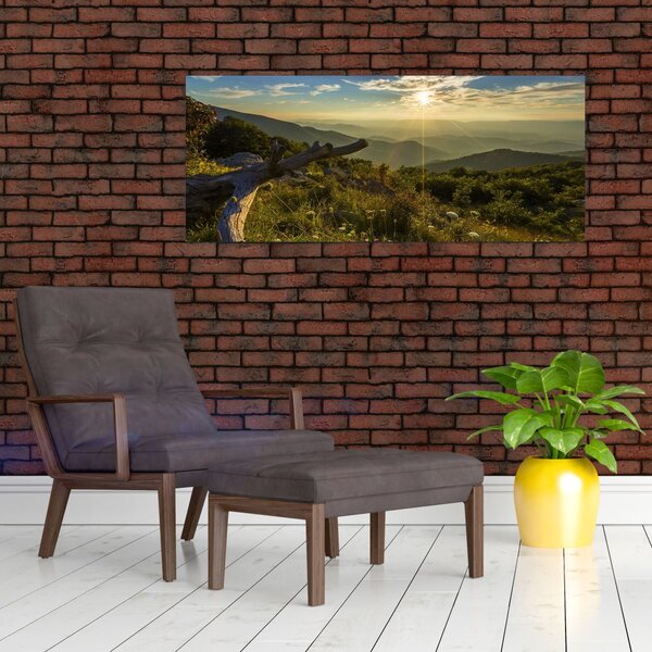 Kép - kilátás a tájra (120x50 cm)