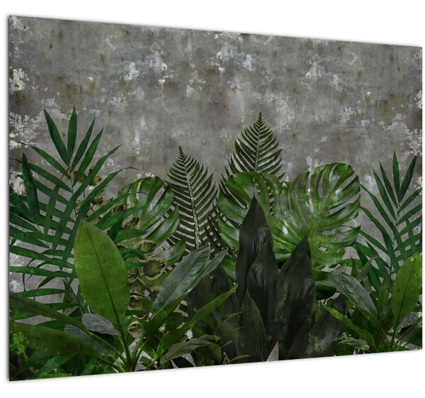 Kép - Betonfal növényekkel (70x50 cm)