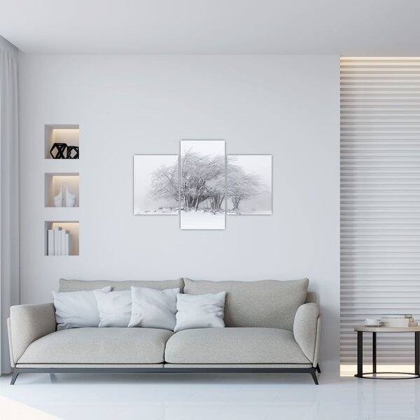 Kép - fehér tél (90x60 cm)