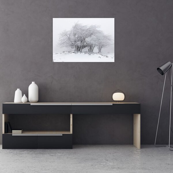 Kép - fehér tél (70x50 cm)
