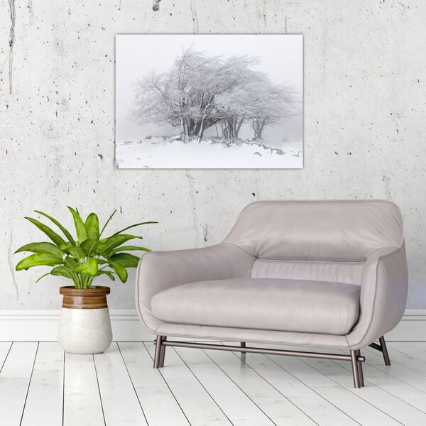 Kép - fehér tél (70x50 cm)