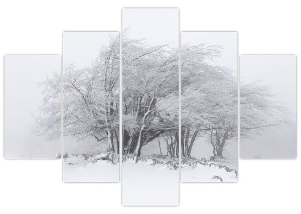 Kép - fehér tél (150x105 cm)