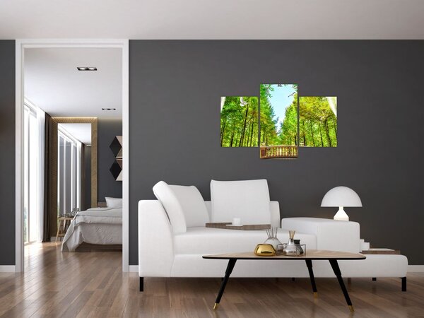 Kép - Kilátás az erdőre (90x60 cm)
