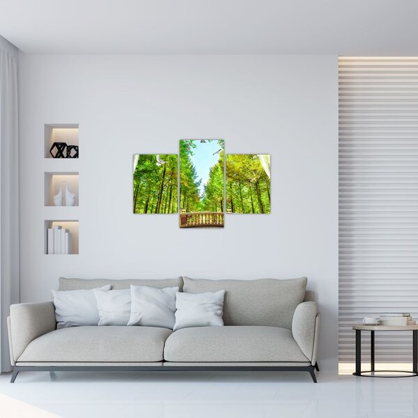 Kép - Kilátás az erdőre (90x60 cm)