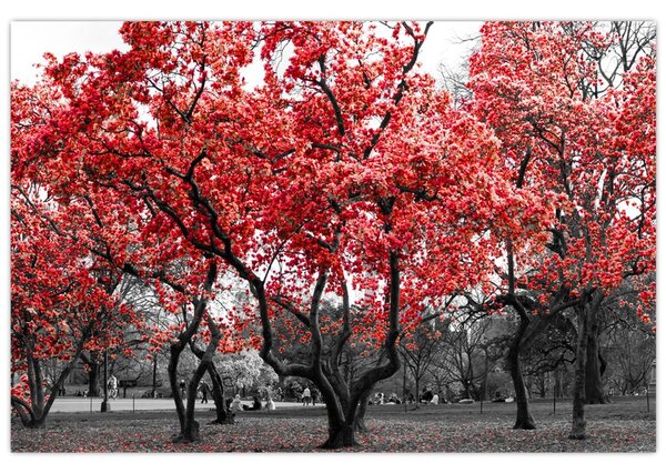 Kép - vörös fák, Central Park, New York (90x60 cm)