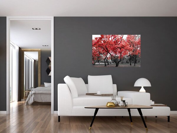 Kép - vörös fák, Central Park, New York (90x60 cm)
