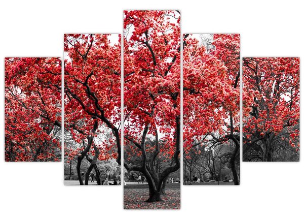 Kép - vörös fák, Central Park, New York (150x105 cm)