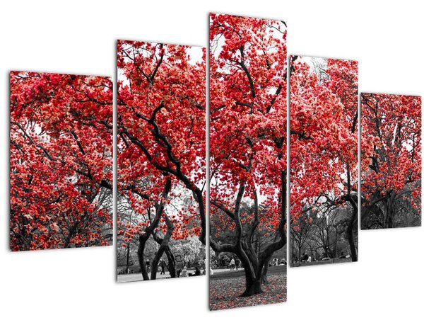 Kép - vörös fák, Central Park, New York (150x105 cm)